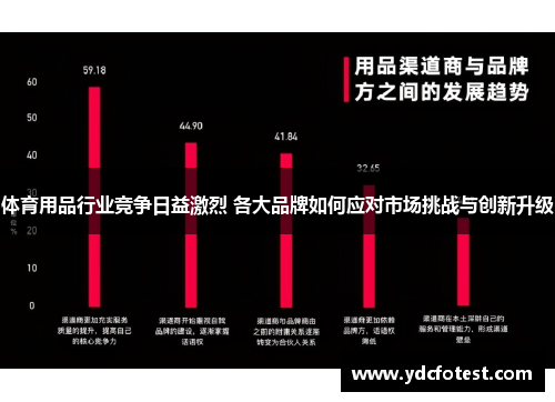 体育用品行业竞争日益激烈 各大品牌如何应对市场挑战与创新升级