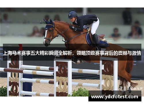 上海马术赛事五大精彩瞬间全解析，领略顶级赛事背后的震撼与激情
