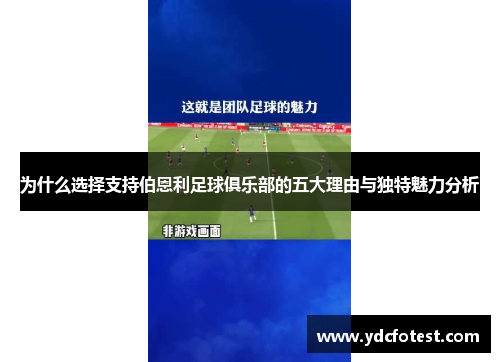 为什么选择支持伯恩利足球俱乐部的五大理由与独特魅力分析