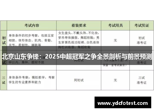 北京山东争锋：2025中超冠军之争全景剖析与前景预测