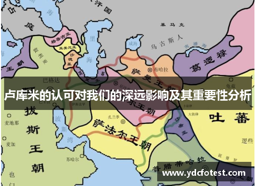 卢库米的认可对我们的深远影响及其重要性分析
