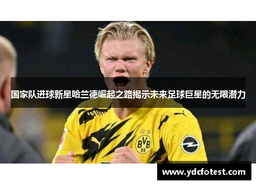 国家队进球新星哈兰德崛起之路揭示未来足球巨星的无限潜力