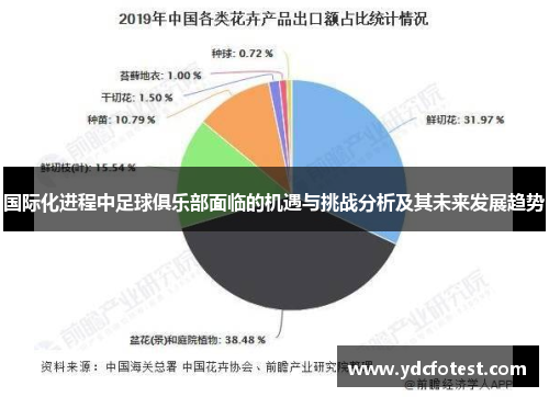 国际化进程中足球俱乐部面临的机遇与挑战分析及其未来发展趋势