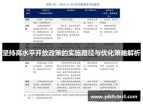 坚持高水平开放政策的实施路径与优化策略解析