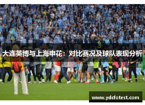大连英博与上海申花：对比赛况及球队表现分析