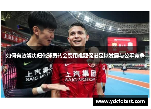 如何有效解决归化球员转会费用难题促进足球发展与公平竞争