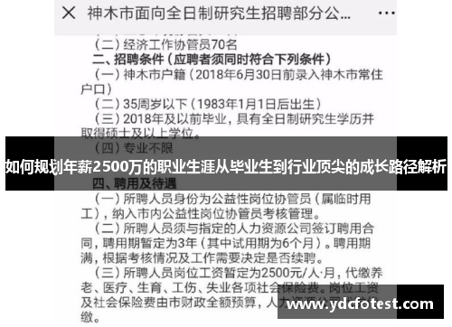 如何规划年薪2500万的职业生涯从毕业生到行业顶尖的成长路径解析